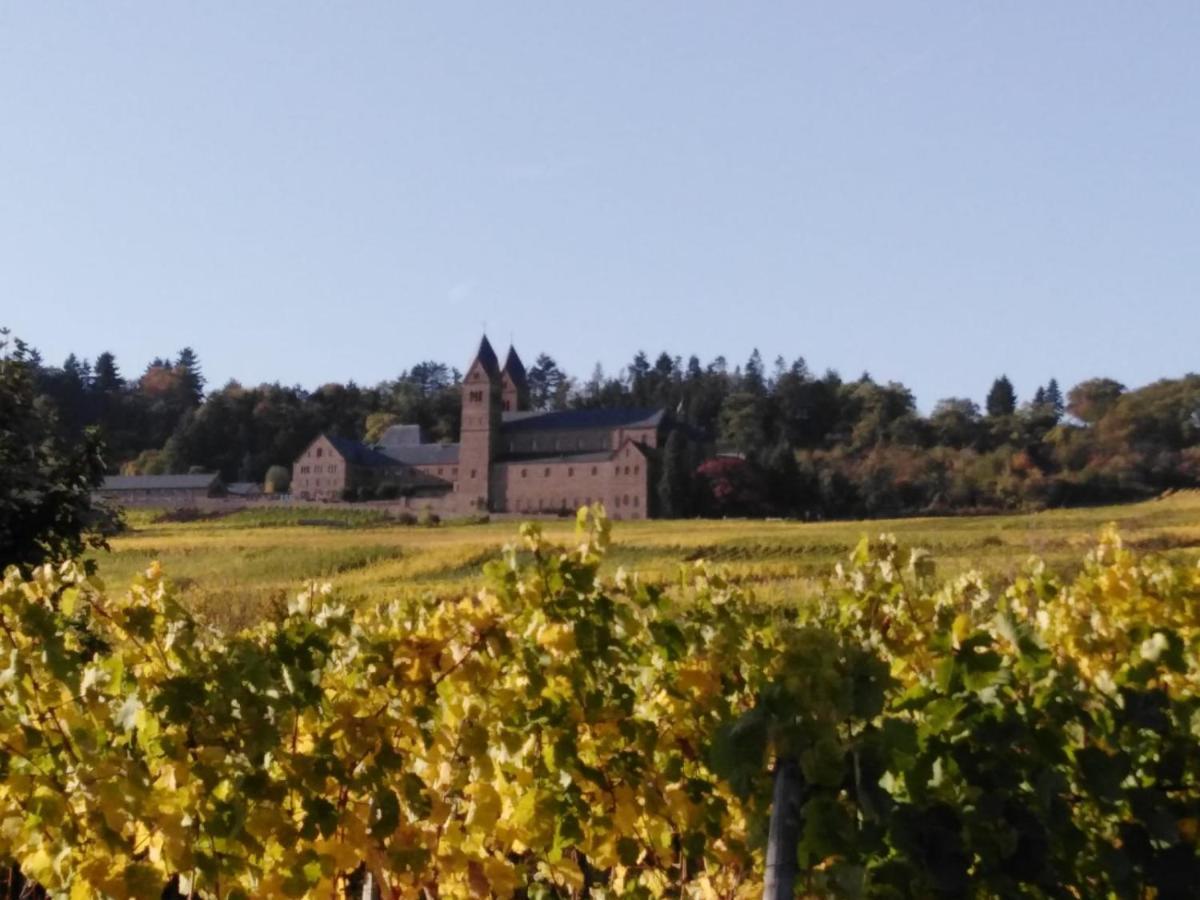 Rheingau Und Weltkulturerbe Mittelrheintal Erleben - Ferienappartement In Winkel Oestrich-Winkel Exteriér fotografie