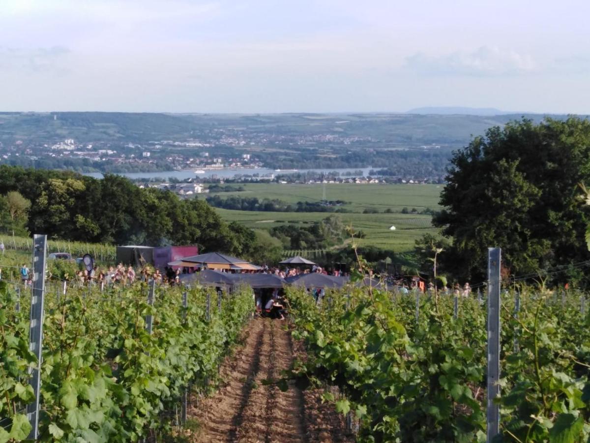 Rheingau Und Weltkulturerbe Mittelrheintal Erleben - Ferienappartement In Winkel Oestrich-Winkel Exteriér fotografie